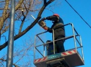 «Ленсвет» приступил к обрезке ветвей деревьев вдоль сетей наружного освещения