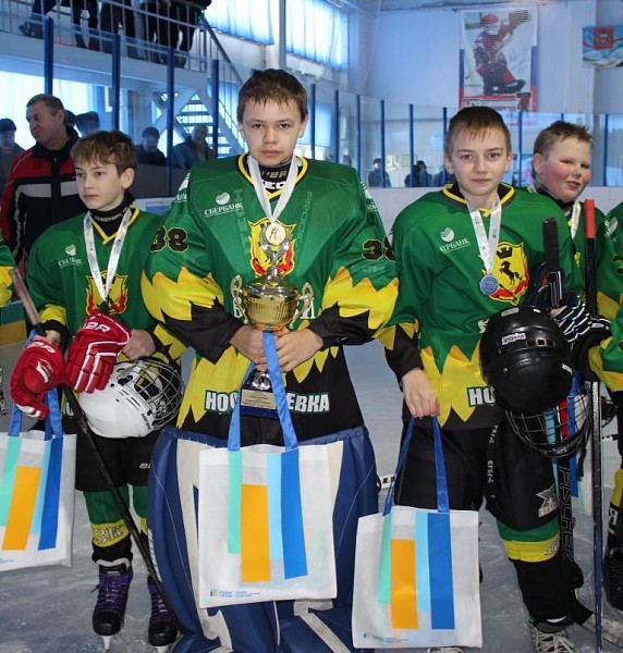 Степные ястребы 