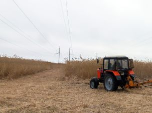 ФСК ЕЭС расчистит в Поволжье свыше 2,4 тысяч гектаров трасс ЛЭП