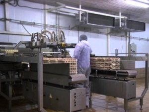 «Ленэнерго» обеспечило более 150 кВт мощности цеху по производству пищевых продуктов во Всеволожском районе