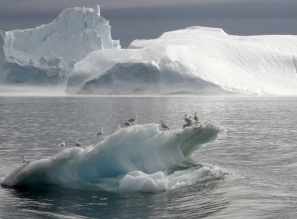 Роснефть обеспечивает безопасность мореплавания в Охотском море