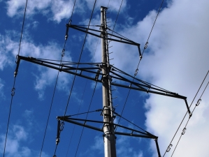 Нижновэнерго подключило к электросети скотоводческое предприятие в Большеболдинском районе