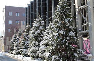 Сочинская ТЭС на 10,6% увеличила отпуск тепловой энергии с началом теплоснабжения села Раздольное