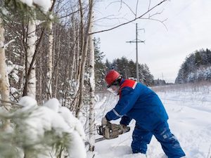 «Кировэнерго» в 2021 году расчистит от поросли 2895 гектаров трасс под воздушными ЛЭП
