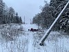 «Ленэнерго» реконструировало ЛЭП в Лужском районе