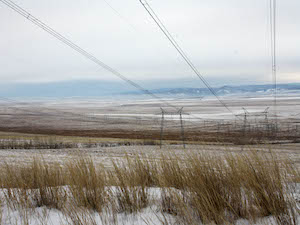 «ФСК ЕЭС» расчищает от камыша магистральные ЛЭП на болотистых участках Сибири