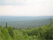 При строительстве Крапивинской ГЭС площадь заповедного фонда увеличится на 43 тысячи гектаров