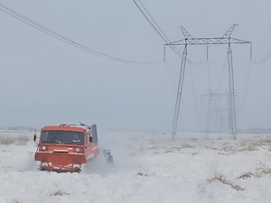 МЭС Урала расчистят от зарослей камыша 33 ЛЭП в Челябинской области