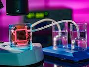 «Норникель» изучает возможность производства катализаторов для водородной энергетики