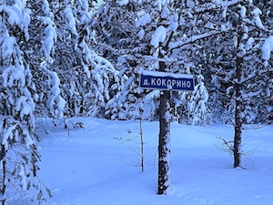 «Пермэнерго» электрифицировало старинную деревню Кокорино