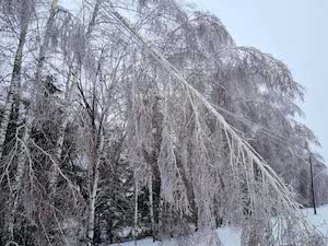 «Орелэнерго» восстанавливает электроснабжение после очередной погодной аномалии