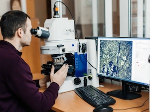 Ученые ТПУ исследуют, как вторичные минералы влияют на свойства вулканитов