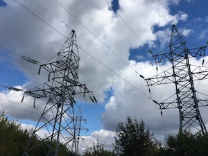 «Россети Юг» установили на ЛЭП 6700 птицезащитных устройств в 2024 году