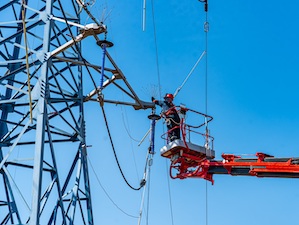 «Россети» установят 10 тысяч птицезащитных устройств на ЛЭП в Подмосковье в 2025 году