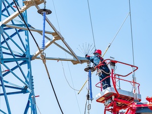 «Россети Московский регион» установят более 14 тысяч птицезащитных устройств в 2026 году