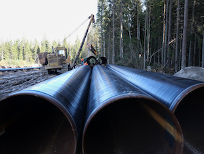 «Транснефть – Балтика» в 2025 году планово обновила 47 объектов нефтетранспортной инфраструктуры