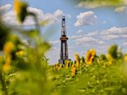 «Роснефть» увеличивает объем «зеленых» инвестиций