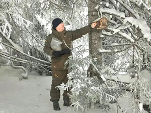 «НОВАТЭК-Челябинск» обеспечил кормом птиц в национальном парке «Таганай»