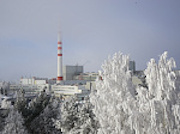 Ленинградская АЭС остановила энергоблок №4 на плановый ремонт с модернизацией