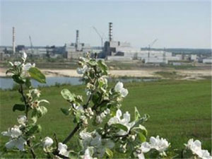 Энергоблок №1 Курской АЭС выводят на капитальный ремонт