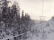 В этом году «Новгородэнерго» проведет расчистку просек на 116-ти трассах воздушных ЛЭП