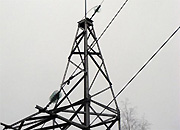 «Ивэнерго» начал подготовку к грозовому сезону