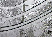 «Нижновэнерго» в этом году увеличит втрое площадь расчистки просек ЛЭП