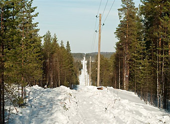 «Карелэнерго» завершает ремонт ЛЭП