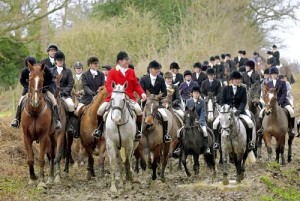 Парфорсная охота