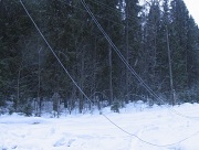 Лес рубят - провода летят