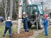 «Нижновэнерго» расчистит более 3200 га просек ЛЭП