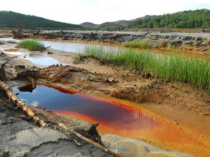 С башкирского «миасс» переводится как «болото»