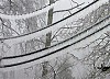 Циклон обесточил несколько населенных пунктов в Челябинской области