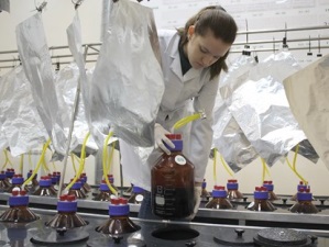 В лабораторной биогазовой установке Белгородского института альтернативной энергетики началась новая серия экспериментов