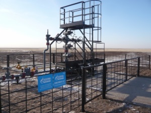 «Газпром» и PetroVietnam готовят к подписанию соглашение о разработке Нагумановского и Северо-Пуровского месторождений