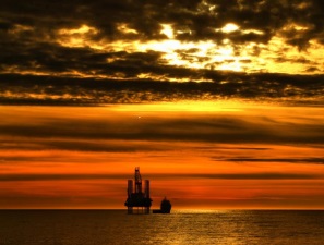 Научные исследования подтверждают отсутствие влияния геологоразведочных работ на природную среду арктического шельфа