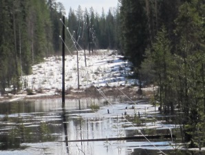 Половодье на большинстве рек бассейна Томи ожидается близким к норме