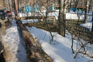 Рейд общественников обнаружил теплосети с разрушенной изоляцией в Сыктывкаре