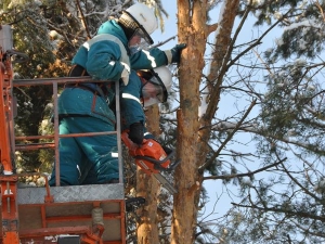 Более 3,2 тысяч га просек вдоль ЛЭП расчистят в Подмосковье в 2017 году
