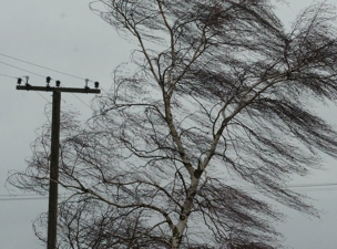 Сильный ветер в Красноярском крае стал причиной сбоев в работе энергооборудования