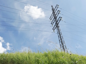 МОЭСК с начала года выявила более ста случаев хищения электроэнергии