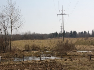 «Псковэнерго» закупает противоэнцефалитные костюмы и репелленты