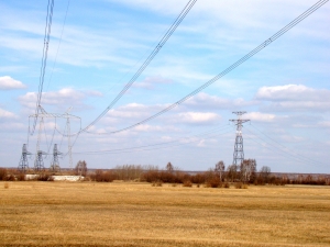 ФСК ЕЭС расчистила от камыша ЛЭП 500 кВ между Омской и Новосибирской областями