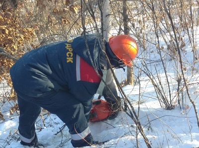 Амурские электрические в 2020 году расчистят в 685 га просек под ЛЭП