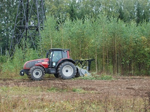 В 2021 году «Кировэнерго» расчистит от поросли 1600 км просек под воздушными ЛЭП