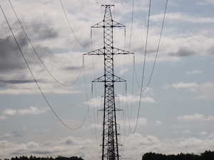 «ФСК ЕЭС» расчистит 3600 га трасс ЛЭП в Амурской области