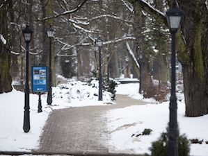 Нагрузка на энергосистему Калининградской области минувшей зимой выросла на 4%