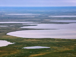 «НОВАТЭК» получил право пользования Северо-Гыданским участком недр