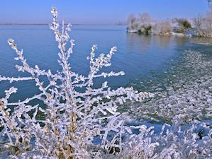 Балаковская АЭС готова оперативно ликвидировать возможные подтоплени
