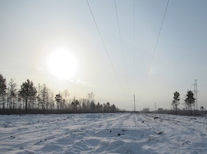 МЭС Востока расчистят свыше 11 тысяч га просек ЛЭП